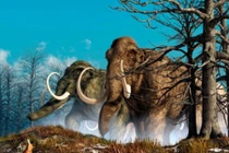 Voi ma mút khổng lồ nặng thế nào và vì sao chúng tuyệt chủng? 