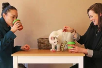 9 công việc trong mơ có thể bạn không hề hay biết