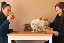 9 công việc trong mơ có thể bạn không hề hay biết