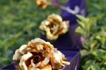 Người thứ ba ghen ngược và chiêu đối phó của vợ với chồng ngoại tình