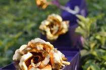 Người thứ ba ghen ngược và chiêu đối phó của vợ với chồng ngoại tình