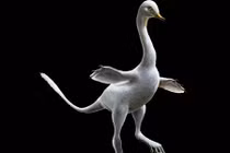 Phát hiện loài khủng long có bề ngoài giống vịt