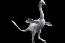 Phát hiện loài khủng long có bề ngoài giống vịt