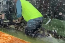 Video: Người đàn ông tay không vật lộn với cá sấu để cứu người phụ nữ