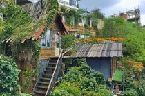 3 homestay nhà gỗ ở trung tâm Đà Lạt