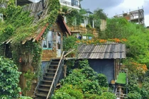 3 homestay nhà gỗ ở trung tâm Đà Lạt