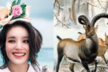 3 con giáp nữ này luôn được Thần Phật phù trợ, hồng phúc tề thiên