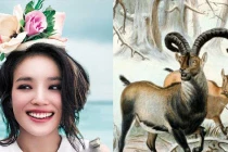 3 con giáp nữ này luôn được Thần Phật phù trợ, hồng phúc tề thiên