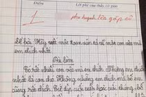 Học sinh tả thú cưng, cô giáo chấm 1 điểm, đòi gặp phụ huynh