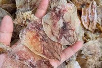 Mực khô giá rẻ, chỉ 200.000 đồng/kg loại mực to bằng cả bàn tay