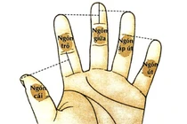 Bỏ 5 giây xem ngón tay giữa, biết ngay bao giờ giàu