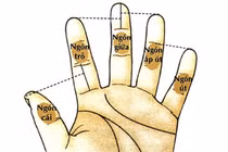 Bỏ 5 giây xem ngón tay giữa, biết ngay bao giờ giàu