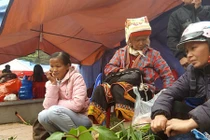La liệt 'thần dược' trên núi cao được người Dao Mẫu Sơn mang bày bán