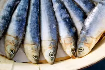 2 loại cá "tàn phá" mô gan, 2 loại tốt cho việc giảm đường trong máu