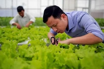 7x thu hàng tỷ đồng mỗi năm nhờ trồng rau 