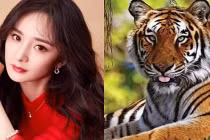 4 con giáp hỷ tín tới nhà, tiền bạc chật két trong 150 ngày tới