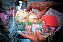 Độc nhất năm nay, bánh bao ông già Noel đắt khách