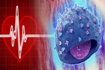 Ghép tim làm thay đổi thói quen, tính cách?