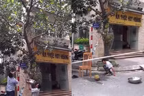 Video: Ông bác "ngầu" nhất vịnh Bắc bộ, cầm chậu để hứng mít rơi