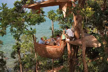 Đến Thái Lan tận hưởng bữa tiệc lơ lửng trên cây