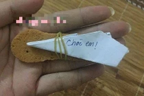 Thanh niên cứng xin pass wifi cô nàng hàng xóm lĩnh ngay kết đắng