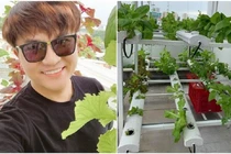 Vườn rau ngập thực phẩm sạch của MC Đại Nghĩa