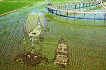 Video: Những bức tranh 3D tuyệt đẹp được vẽ trên đồng lúa