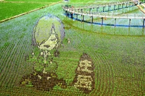 Video: Những bức tranh 3D tuyệt đẹp được vẽ trên đồng lúa