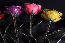 Quà tặng hoa hồng độc, lạ ngày 8/3