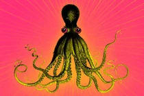 Lý do bạch tuộc được công nhận là sinh vật quái dị nhất hành tinh