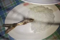 Thêm một cú lừa 'thế kỷ' khiến dân mạng tức điên nhưng vẫn bật cười