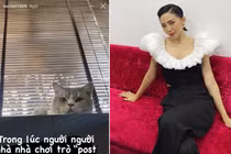 Tóc Tiên gây tranh cãi khi sử dụng từ ngữ có phần thô thiển