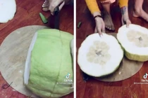 Mang bưởi, dưa hấu Tài - Lộc trưng Tết ra bổ thử và cái kết