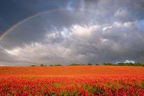 Những khoảnh khắc không dễ tìm về vẻ đẹp của tự nhiên