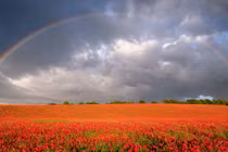 Những khoảnh khắc không dễ tìm về vẻ đẹp của tự nhiên