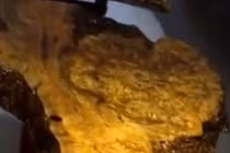 Bí ẩn bàn trà nu Long não 1.000 tuổi tỏa hương thơm ngày đêm