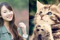 Đúng 0 giờ 15/8: 3 con giáp gặt hái nhiều may mắn, mọi việc thuận lợi