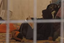 Nỗi khiếp đảm ở khu trại bí mật cho các cô dâu IS