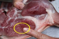 Thịt lợn có 4 dấu hiệu này dù rẻ mấy cũng đừng mua