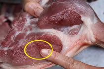 Thịt lợn có 4 dấu hiệu này dù rẻ mấy cũng đừng mua