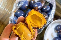 Thứ quả đen sì rụng đầy đồi bỗng dưng thành đặc sản gây nghiện