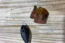 Tìm thấy cổ vật trong bụng cá sấu ở Mỹ