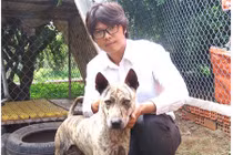 Trai trẻ quyết "săm soi" tìm cho được gen chó Phú Quốc thuần chủng