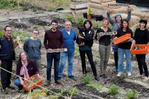 Người dân Paris đua nhau trồng rau, nuôi gà trên sân thượng