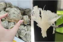 Bí quyết chọn mua yến sào giá mềm mà vẫn chuẩn xịn