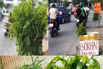 Đặc sản rau rừng đổ bộ về Thủ đô, giá chát vẫn cháy hàng