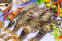 Hải sản giảm giá mạnh, có loại chỉ xuất hiện ở nhà hàng giờ bán đầy chợ