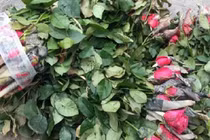 10 nghìn đồng/50 bông hoa, nông dân Tây Tựu méo mặt vì dịch