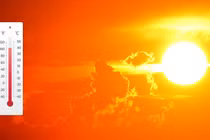 Chuyên gia chỉ cách sơ cứu khi bị sốc nhiệt đúng cách