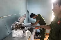 Ngâm hổ trong bể rượu, một người bị phạt 75 triệu đồng